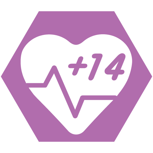 icon004